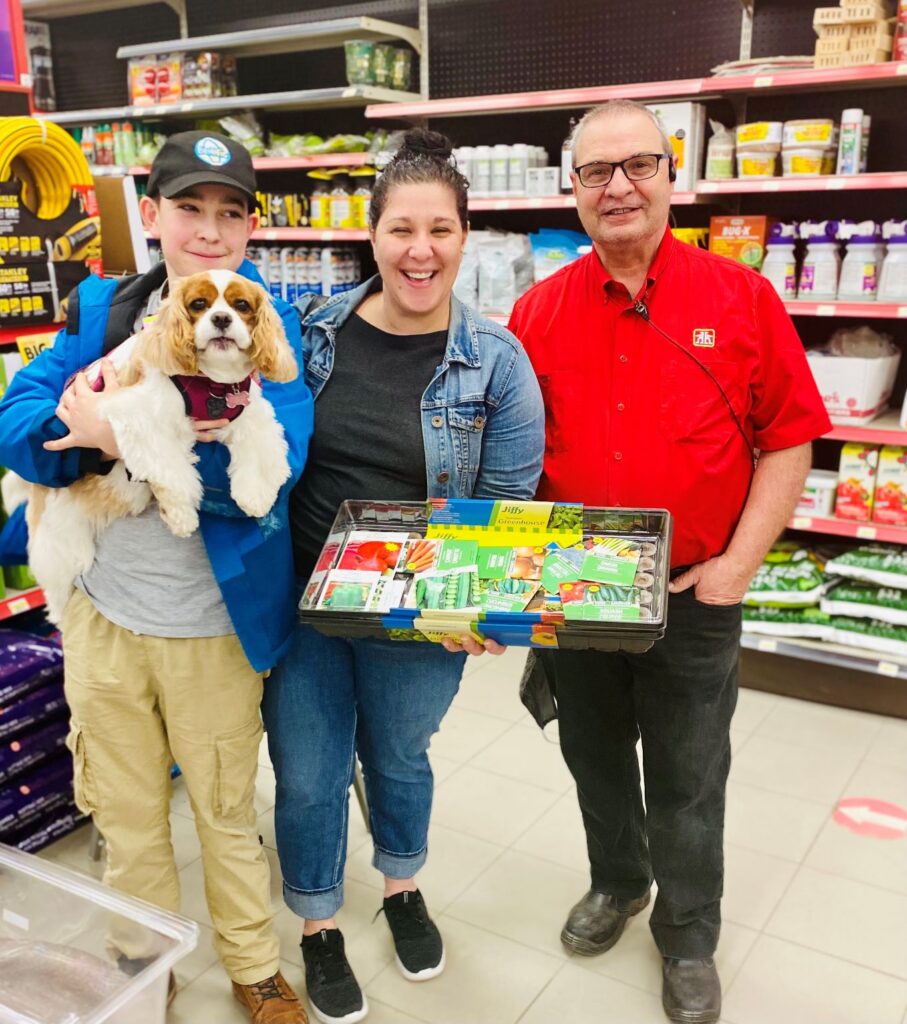 How To Begin Seedling Indoors for Beginners