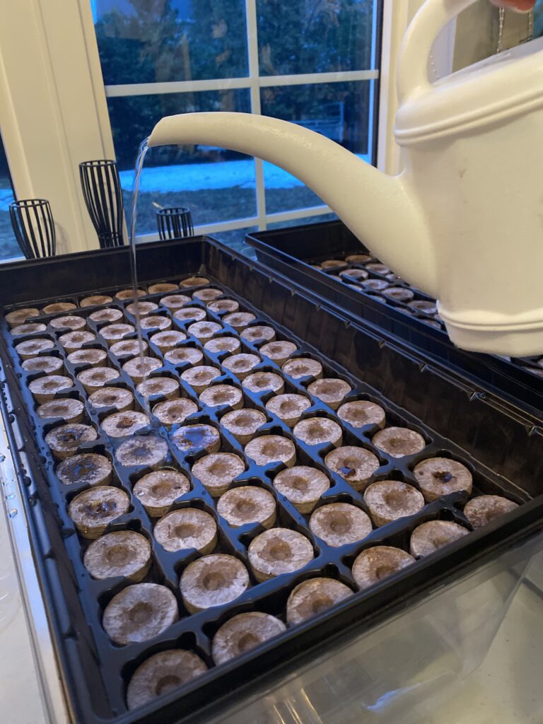  Jiffy Professional Greenhouse Trays for Seeding indoors